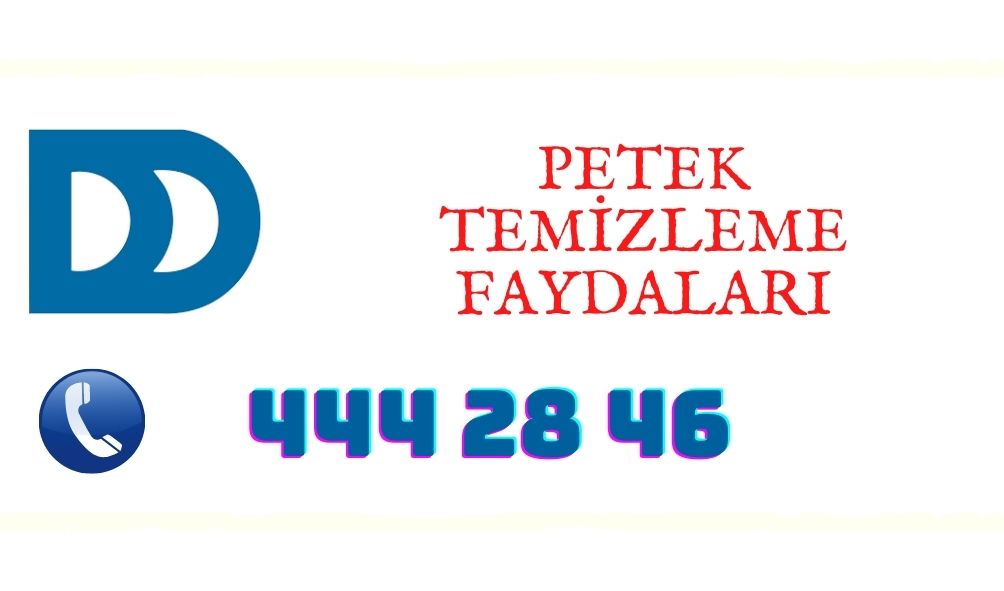 PETEK TEMİZLEME FAYDALARI